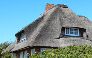 thatch roofing Netherton